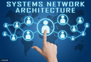 廣州九星創客系統開發 引領軟件創新的新浪潮